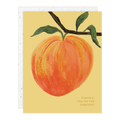 Peach Thank You