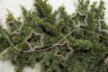 Star Spirit Garland Silver